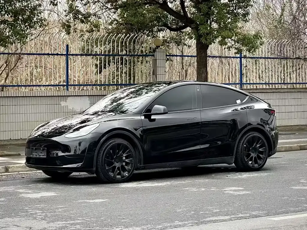 Tesla Model Y — фото 1