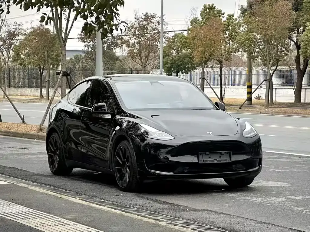 Tesla Model Y — фото 7