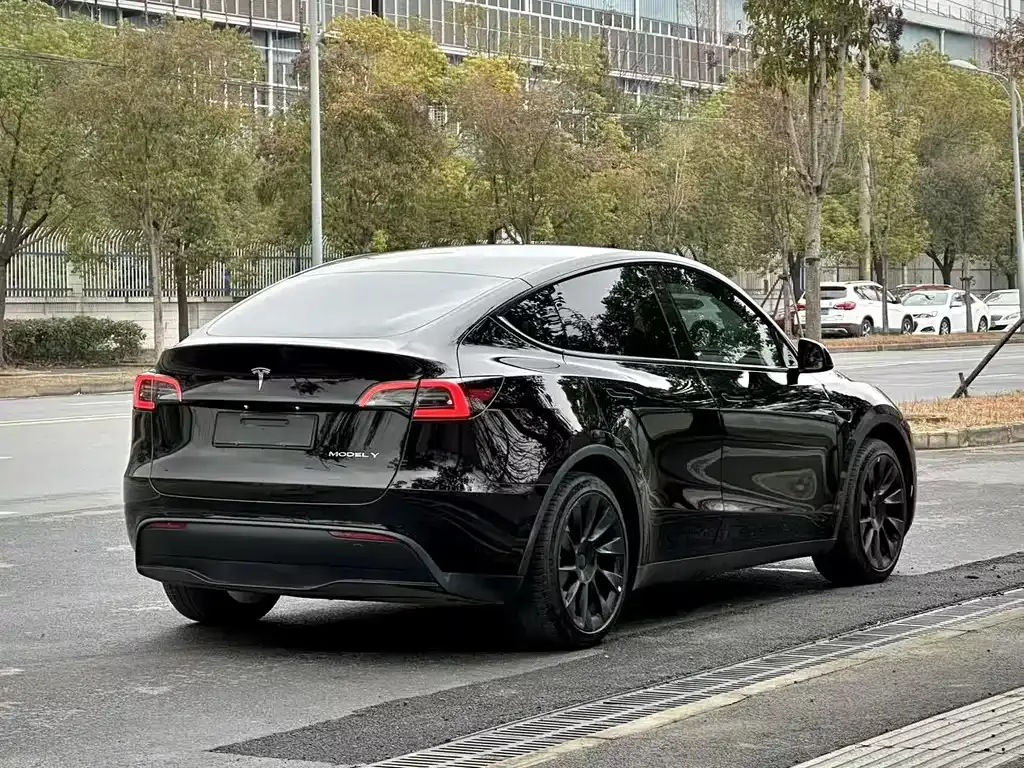 Tesla Model Y — фото 5