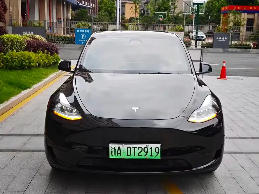Tesla Model Y — фото 3