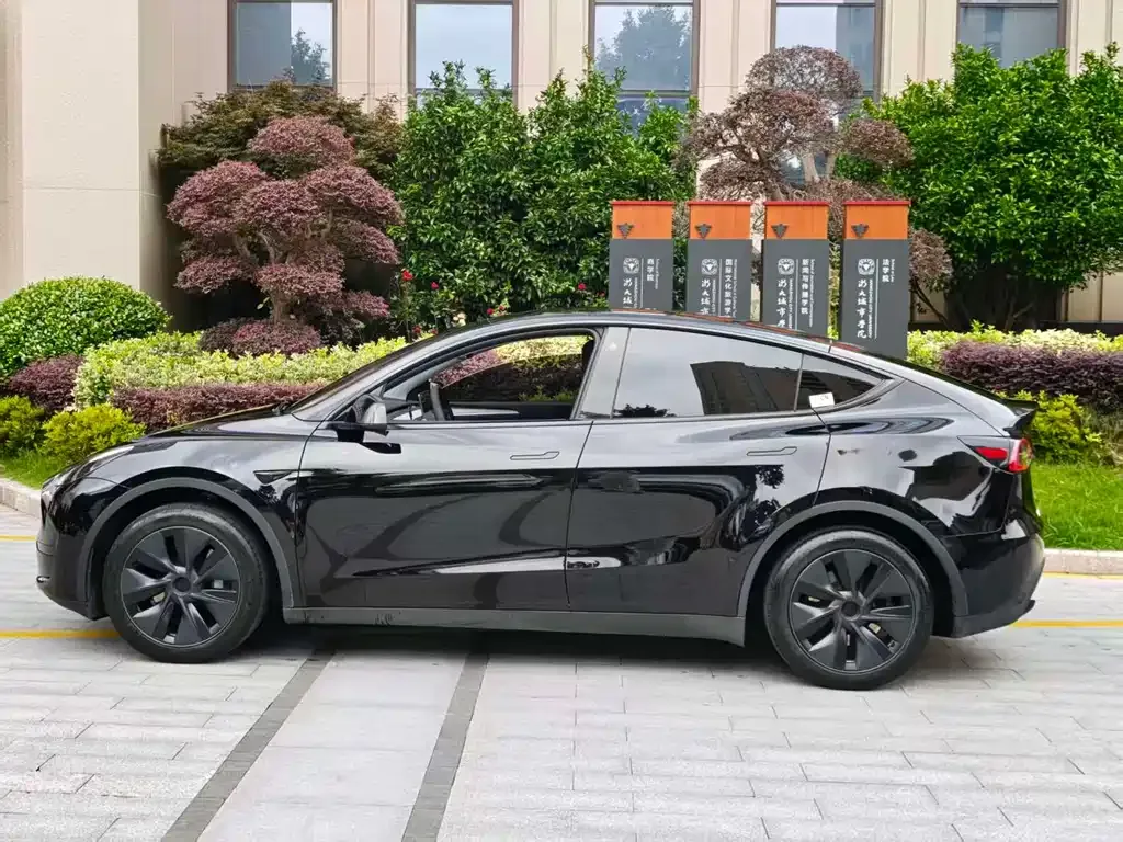 Tesla Model Y — фото 10