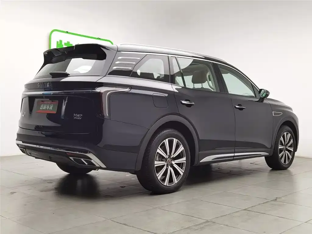 Hongqi HS7 PHEV 2025 из CN, фото 6