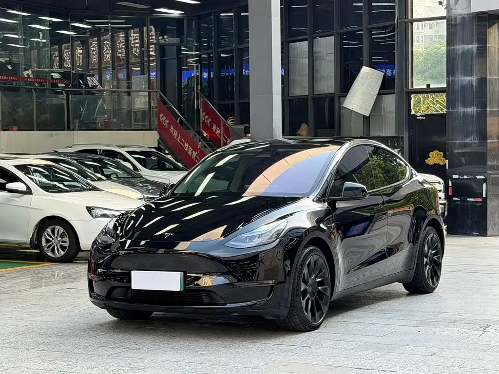 Tesla Model Y — фото 1