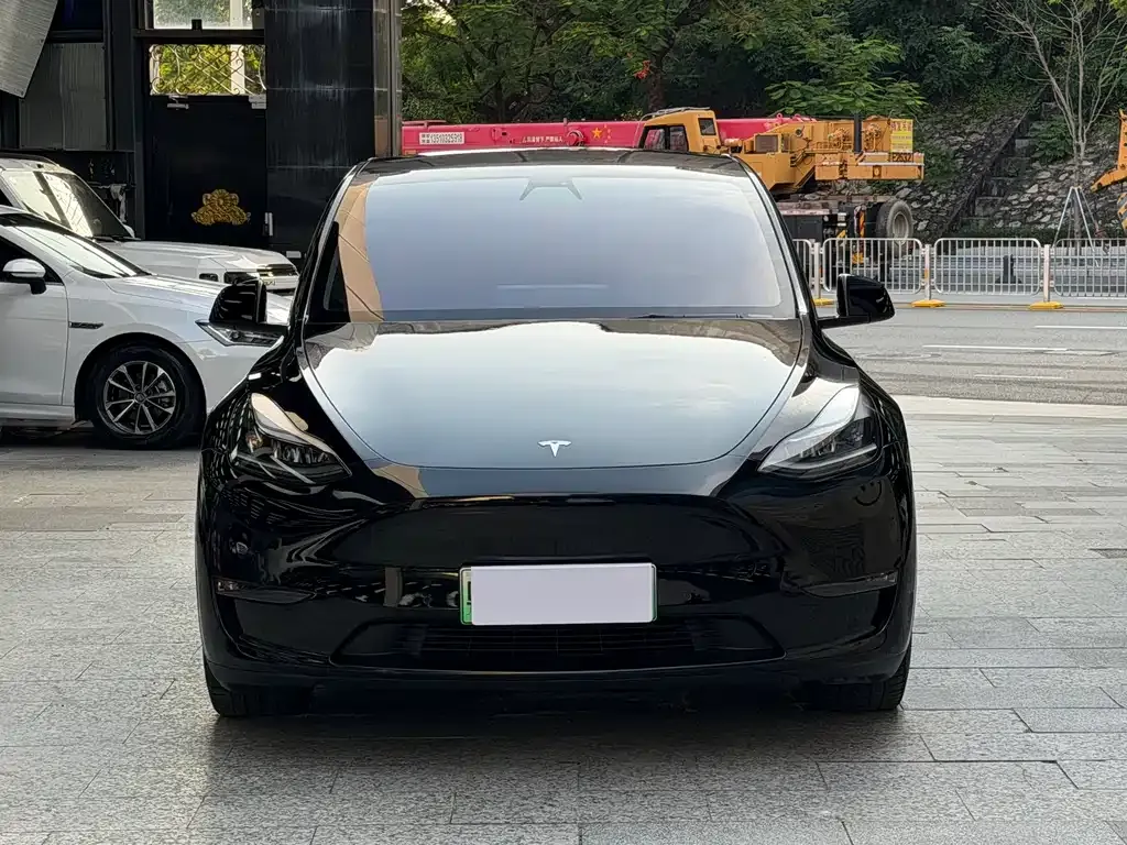 Tesla Model Y — фото 8