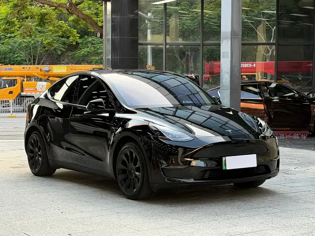 Tesla Model Y — фото 10