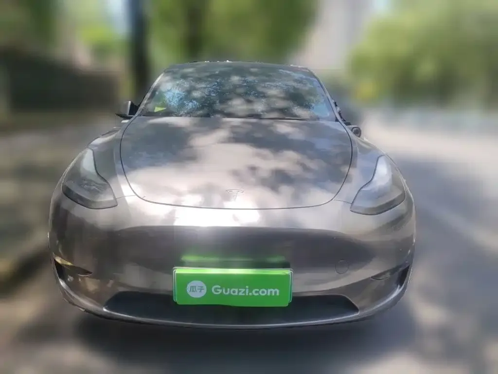 Tesla Model Y — фото 2