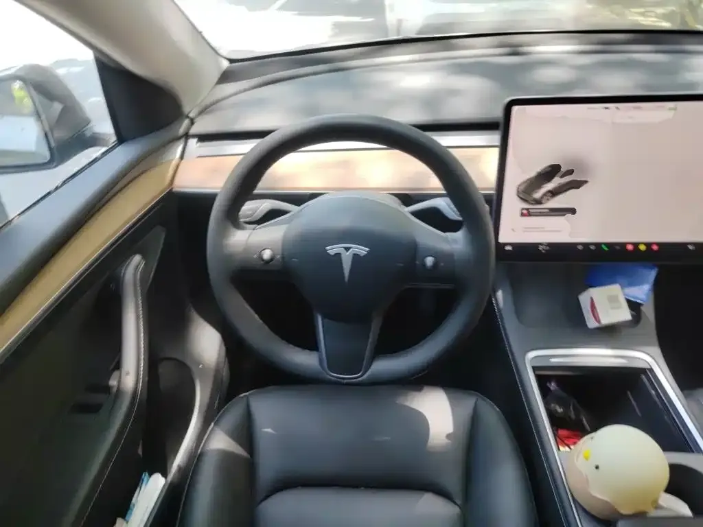Tesla Model Y — фото 8