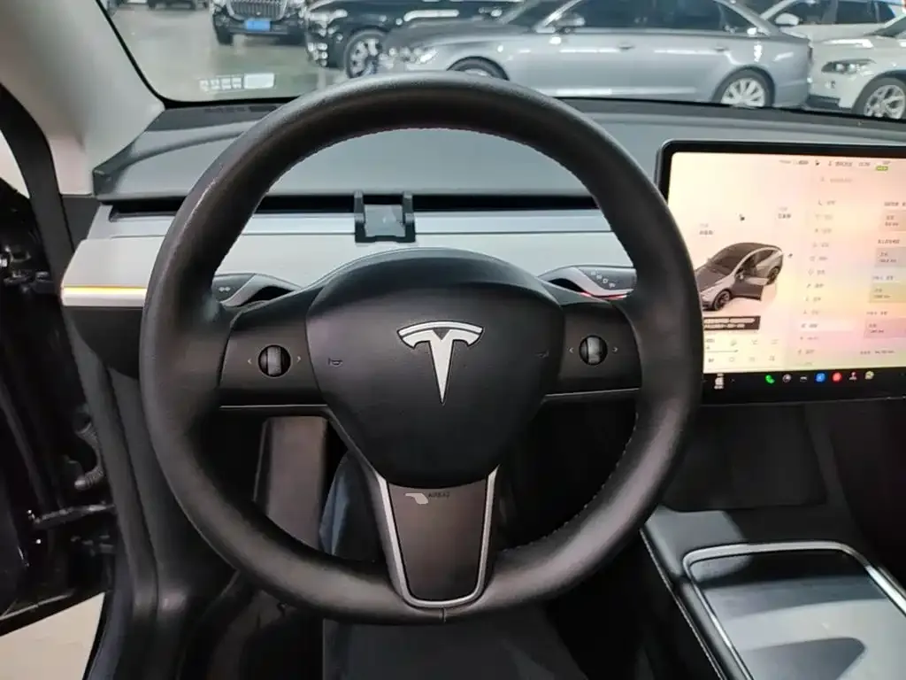 Tesla Model Y — фото 10