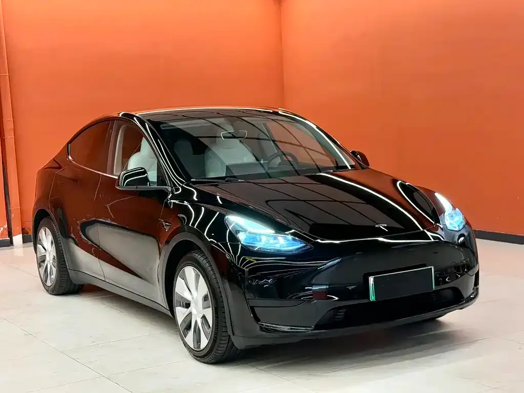 Tesla Model Y — фото 10