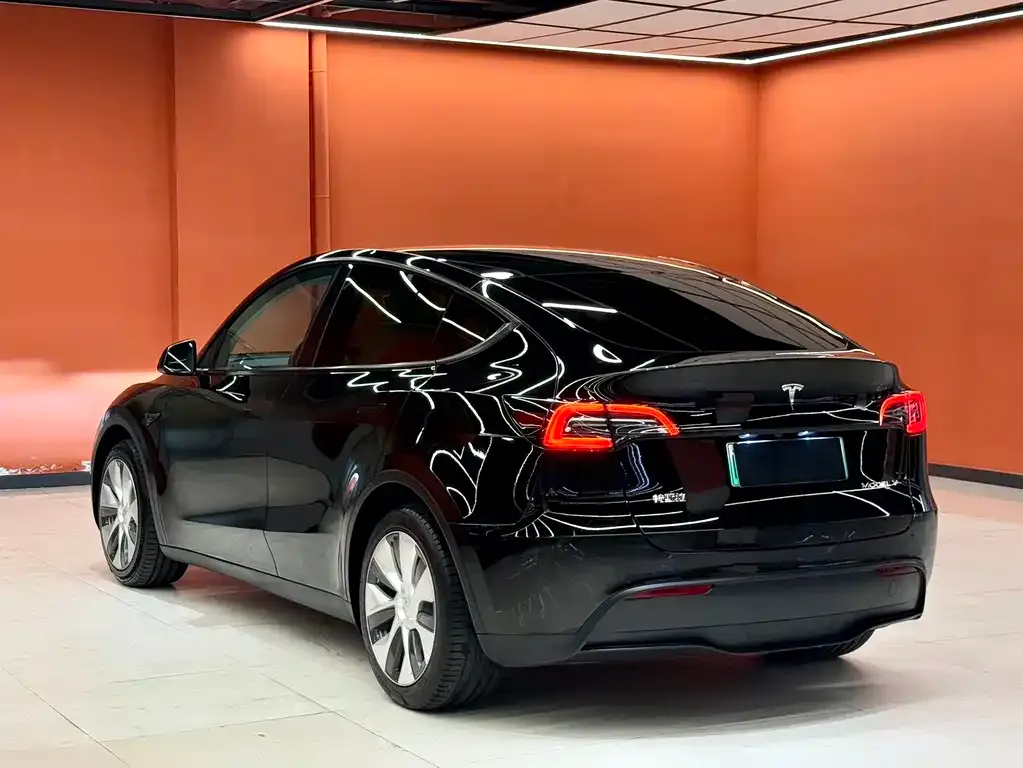 Tesla Model Y — фото 9