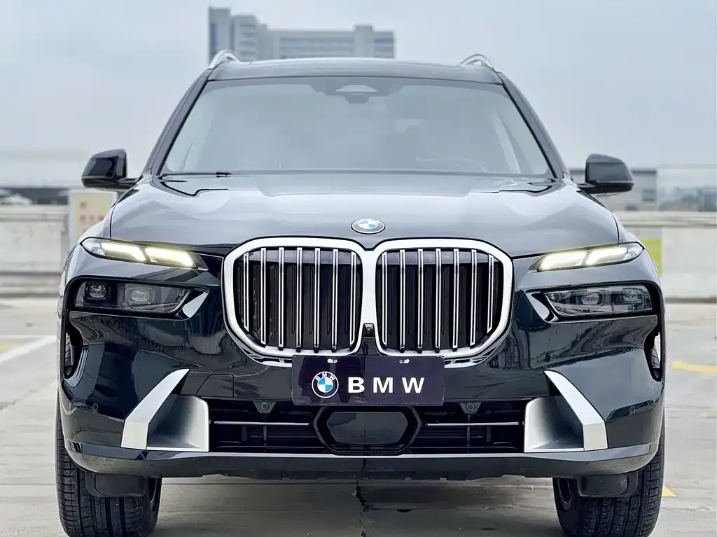 BMW X7 — фото 3