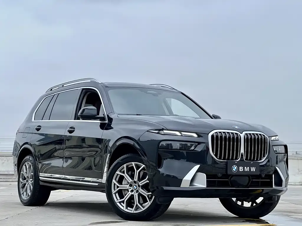 BMW X7 — фото 7