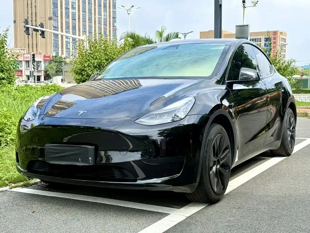 Tesla Model Y — фото 3