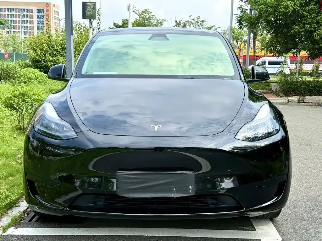 Tesla Model Y — фото 9