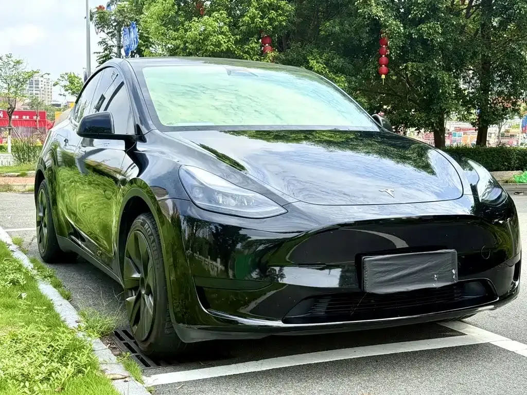 Tesla Model Y — фото 8