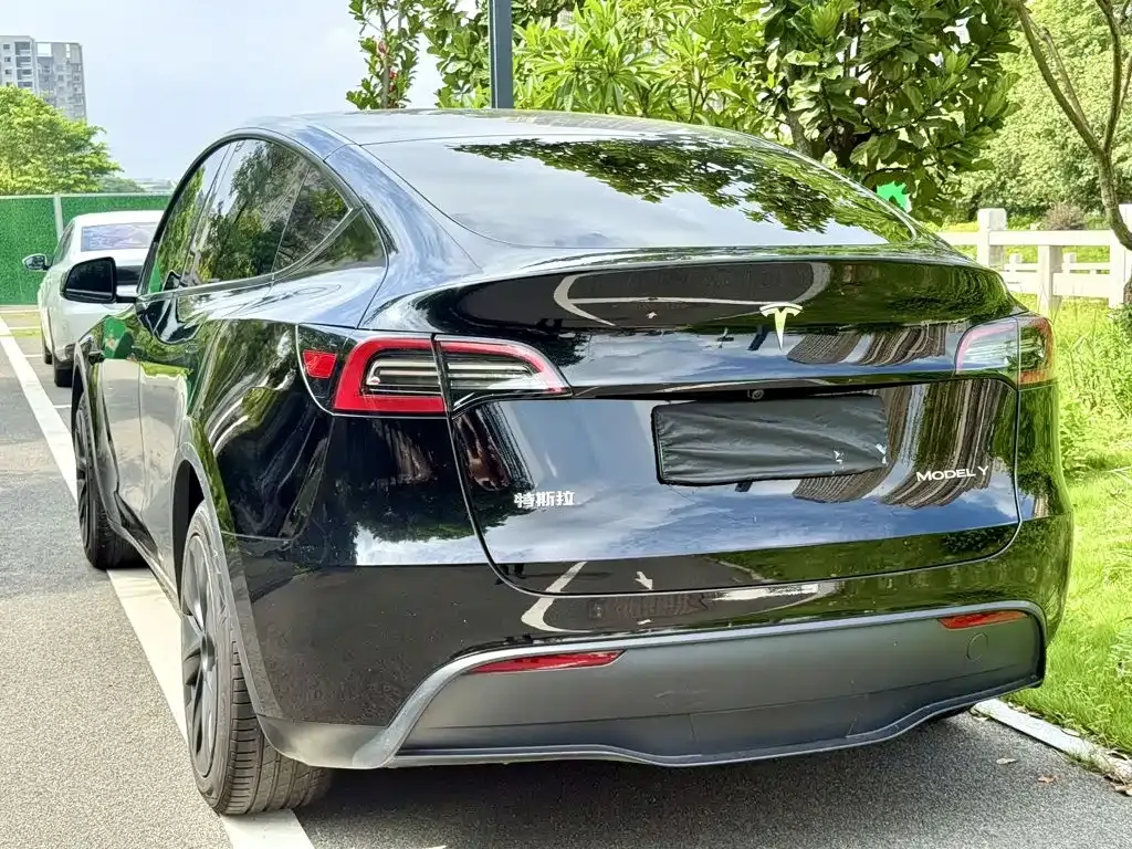 Tesla Model Y — фото 5