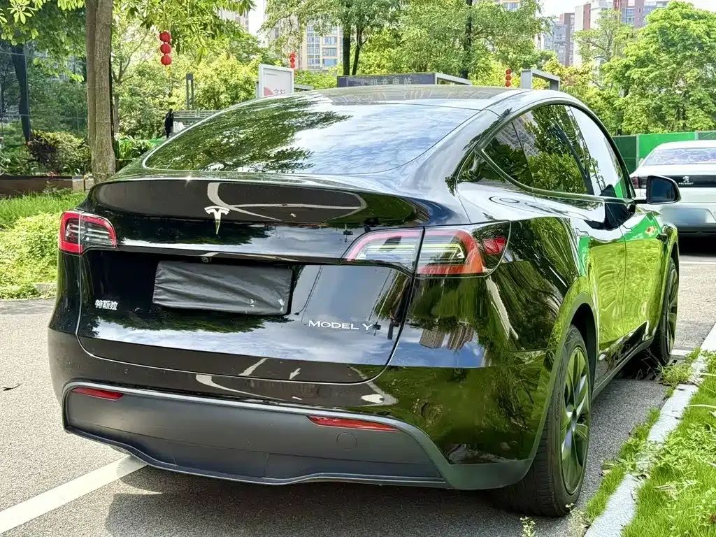 Tesla Model Y — фото 6