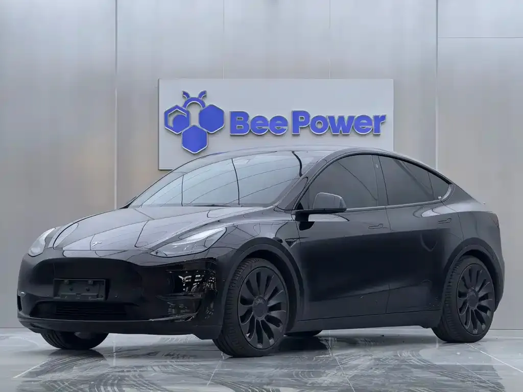 Tesla Model Y — фото 1