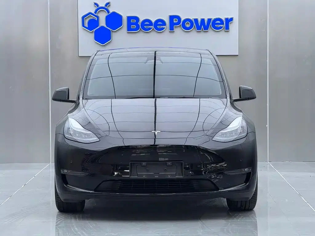 Tesla Model Y — фото 9