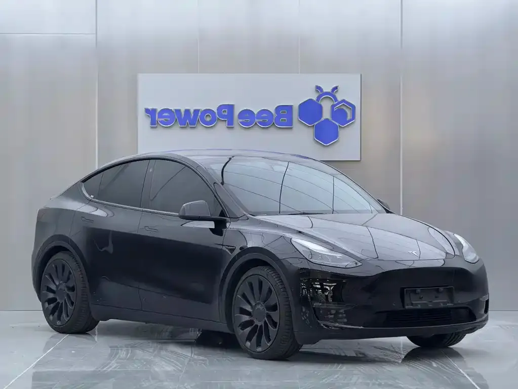 Tesla Model Y — фото 2
