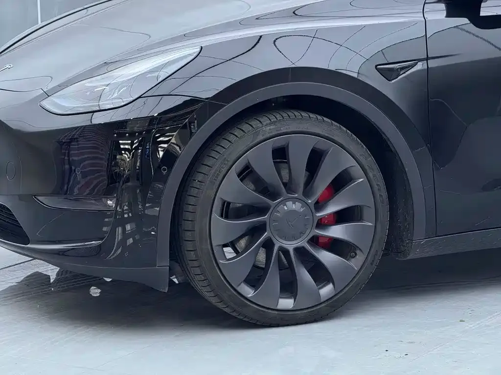 Tesla Model Y — фото 5