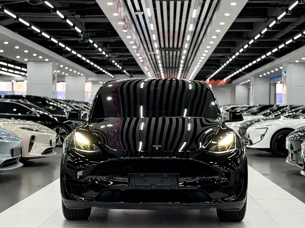 Tesla Model Y — фото 4