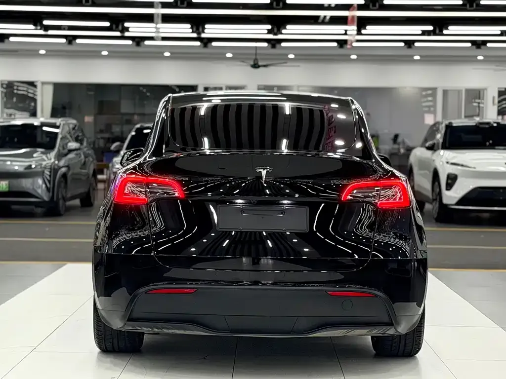 Tesla Model Y — фото 9
