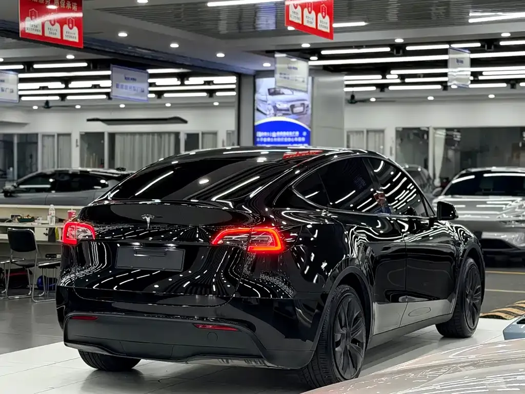 Tesla Model Y — фото 10