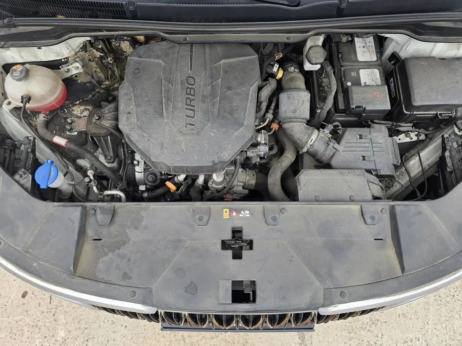 Kia Carnival — фото 10