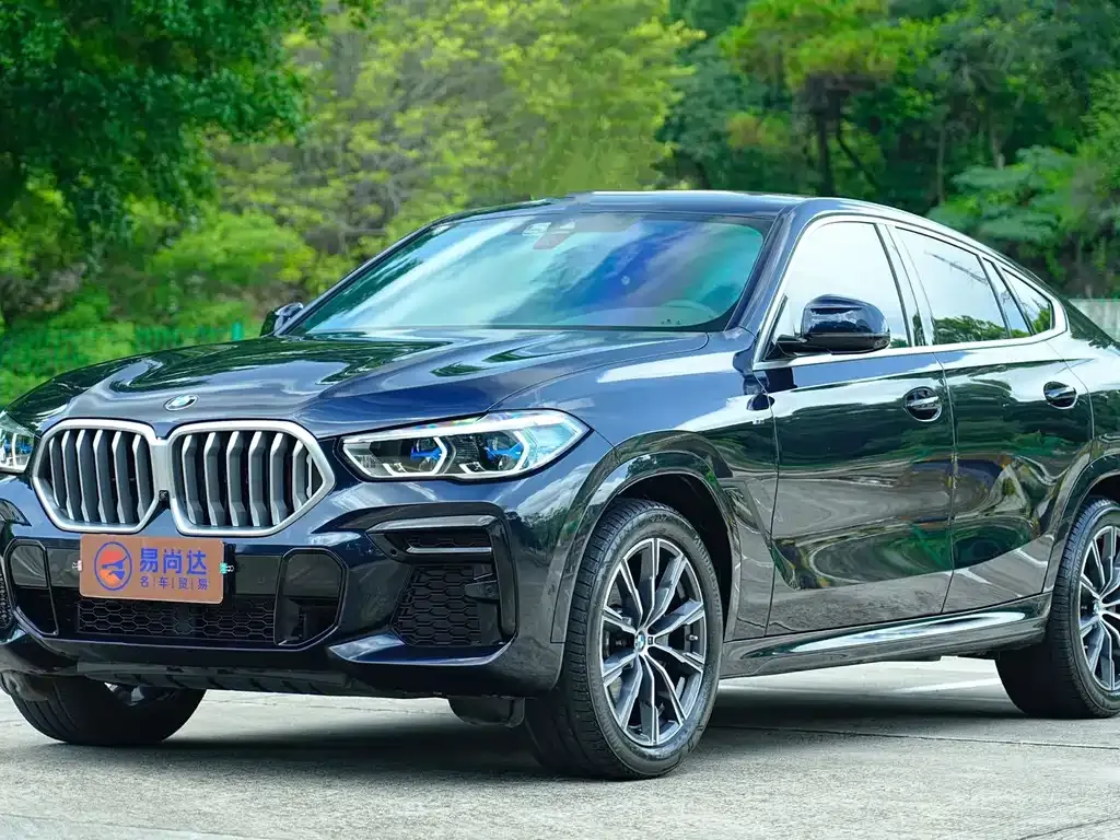 BMW X6 — фото 10
