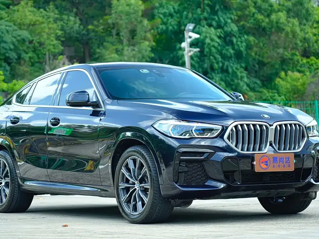 BMW X6 — фото 6