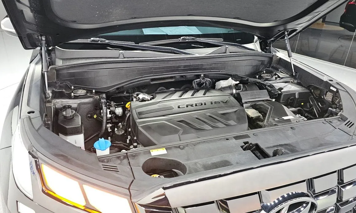 Hyundai Palisade 2024 из KR, фото 6