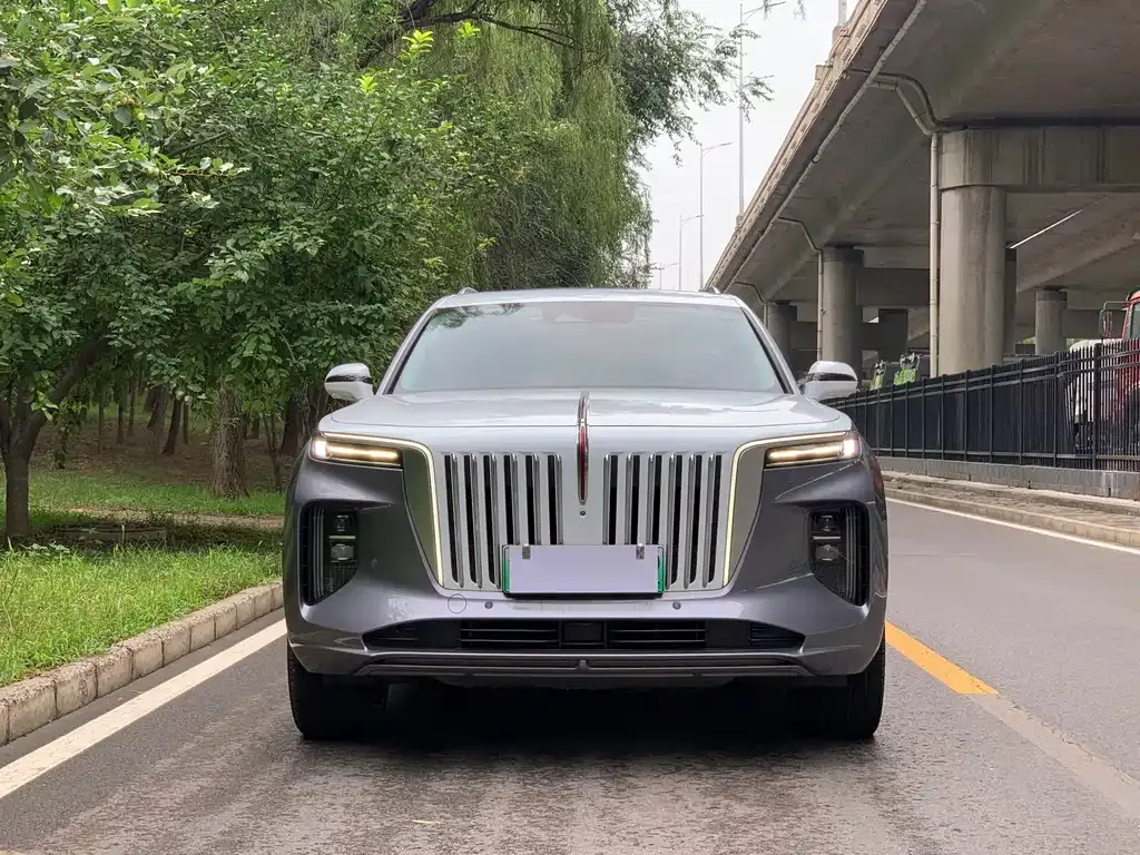 Hongqi E-HS9 — фото 6