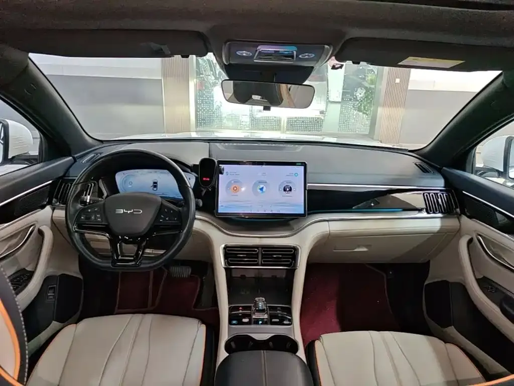 BYD PLUS New Energy — фото 9