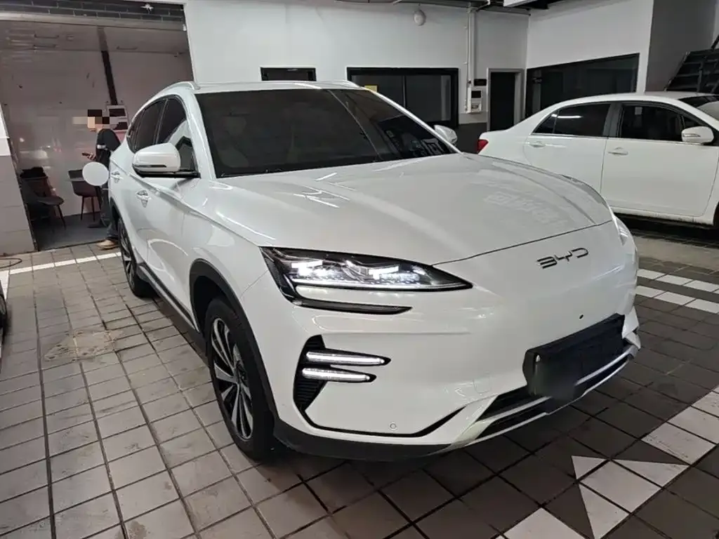 BYD PLUS New Energy — фото 4