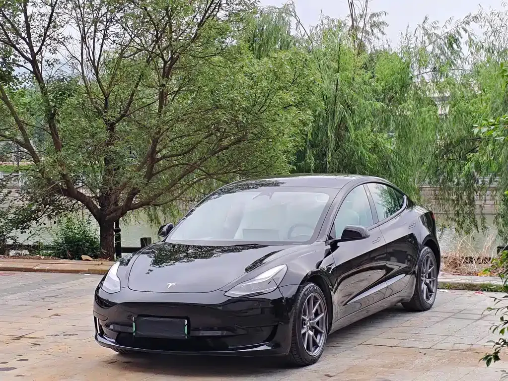 Tesla Model 3 — фото 1