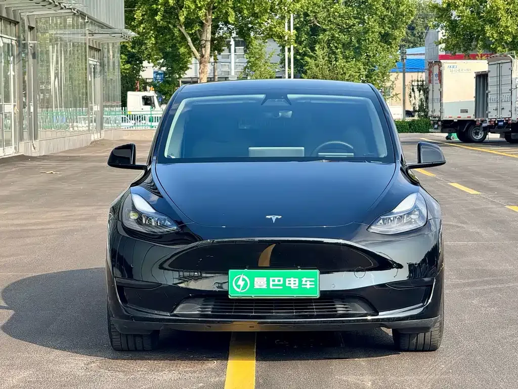 Tesla Model Y — фото 5