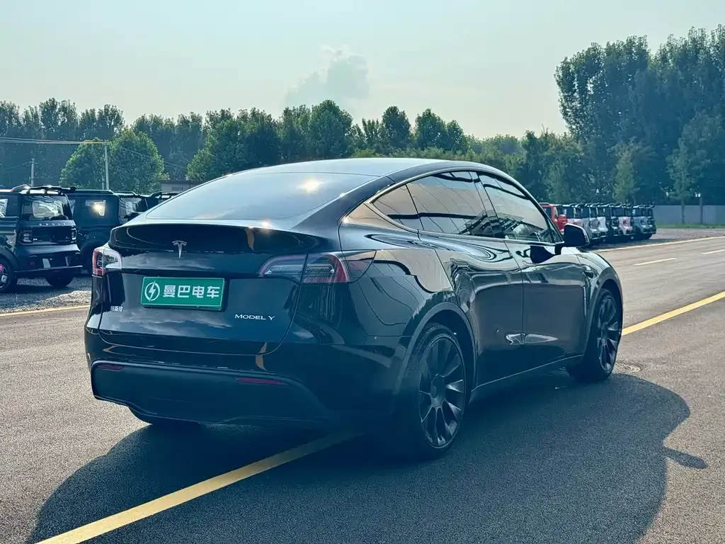 Tesla Model Y — фото 4