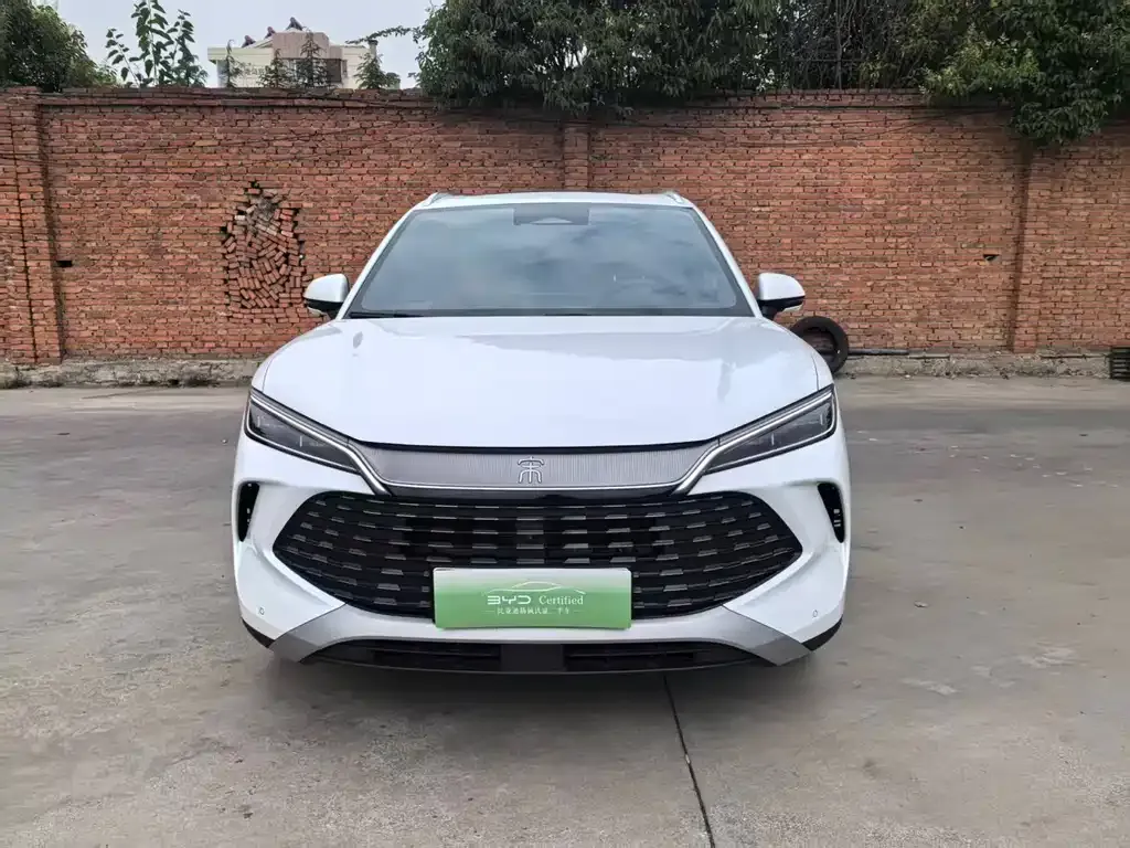 BYD L DM-i 2024 из CN, фото 10