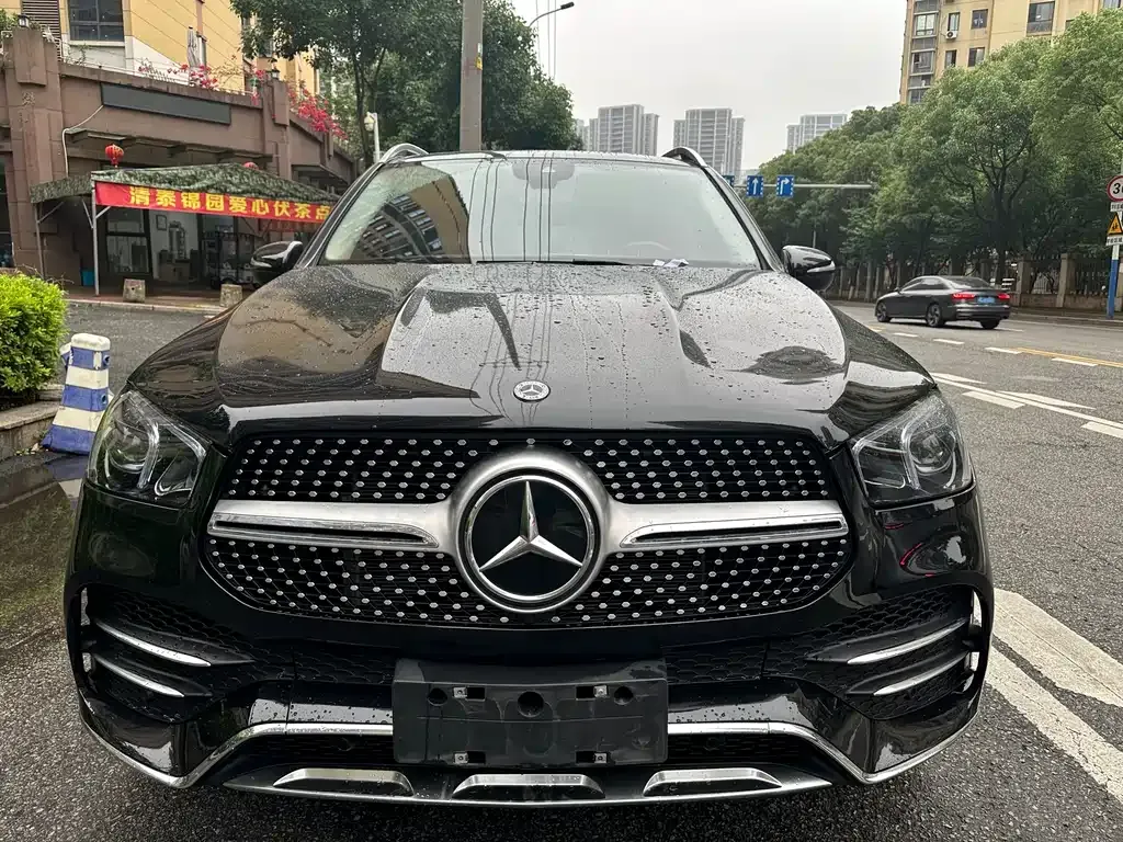Mercedes-Benz 奔驰GLE(进口) — фото 2