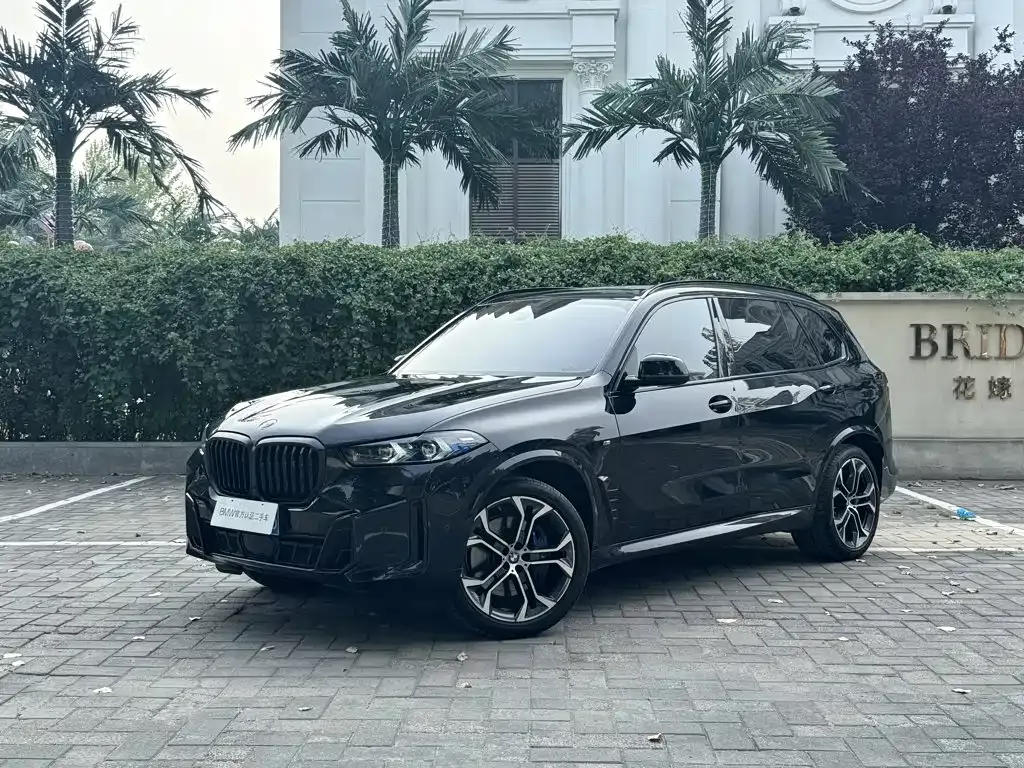 BMW X5 xDrive 40Li Premium M Sport Night 1