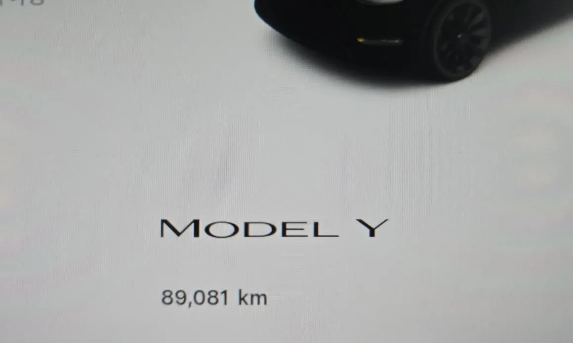 Tesla Model Y — фото 5