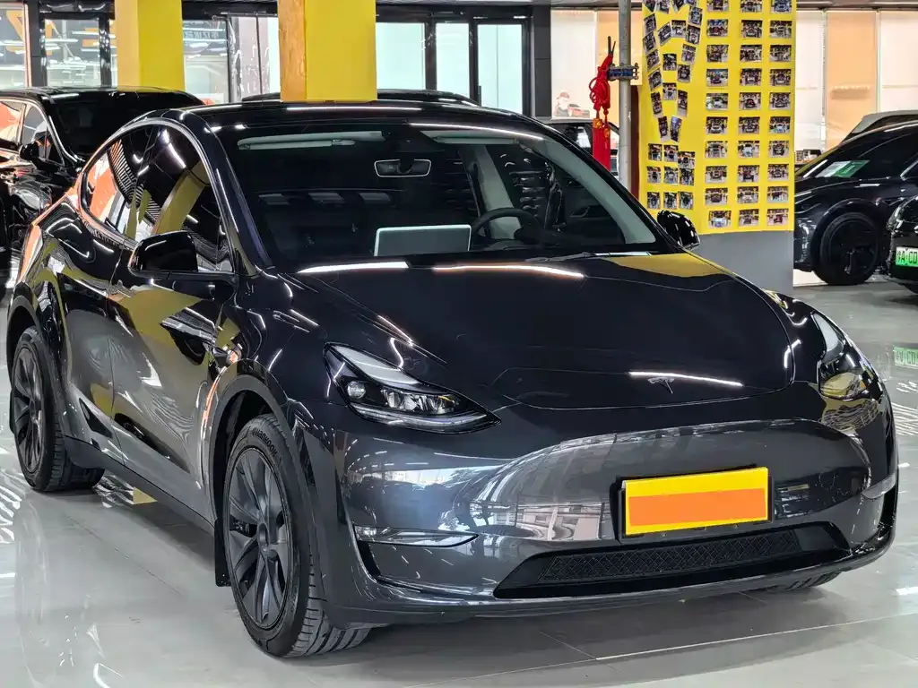 Tesla Model Y — фото 10