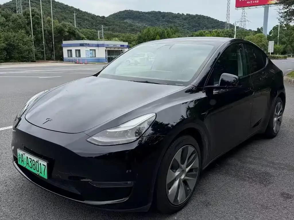 Tesla Model Y — фото 1