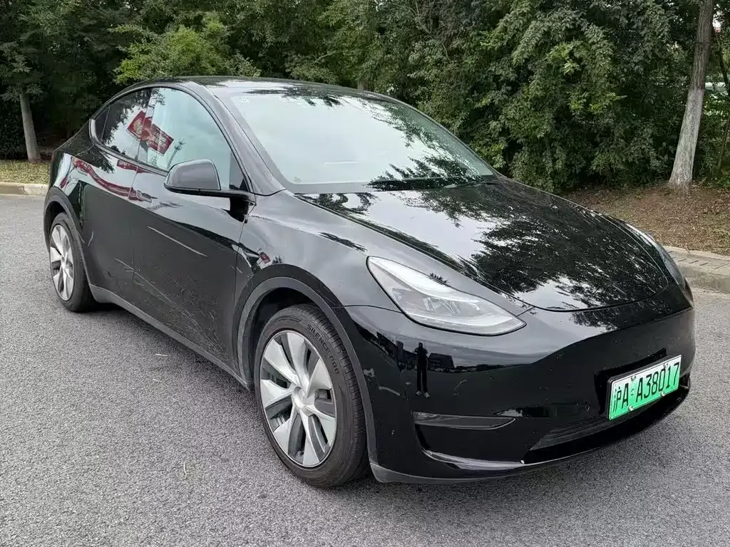 Tesla Model Y — фото 9