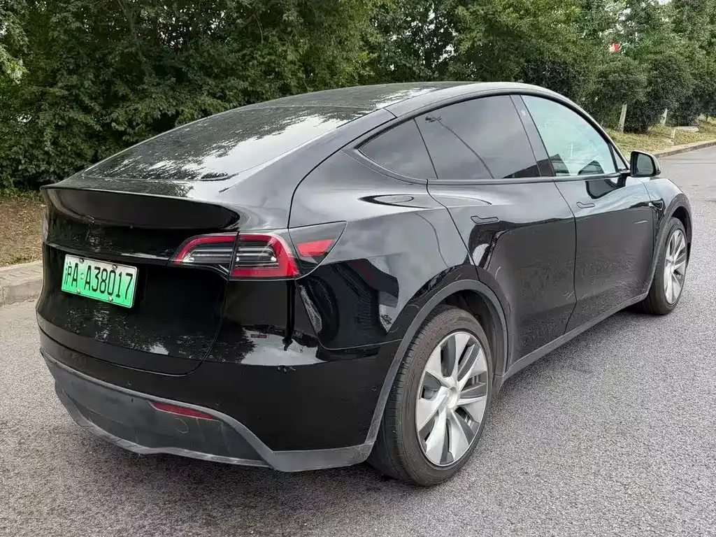 Tesla Model Y — фото 7