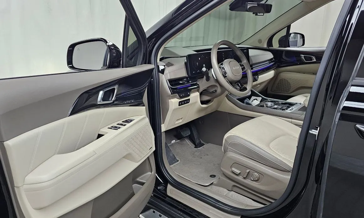Kia Carnival — фото 10