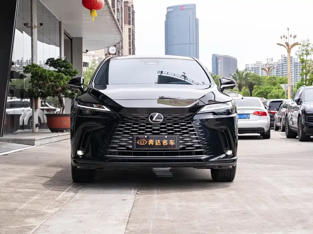 Lexus RX — фото 10