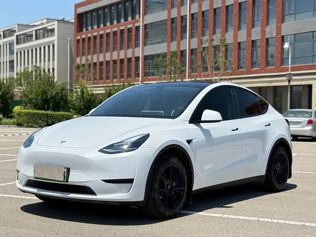 Tesla Model Y — фото 1