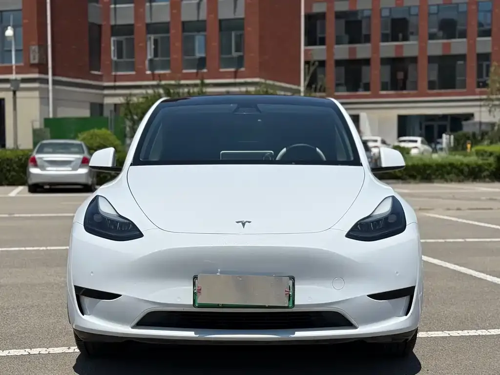 Tesla Model Y — фото 8